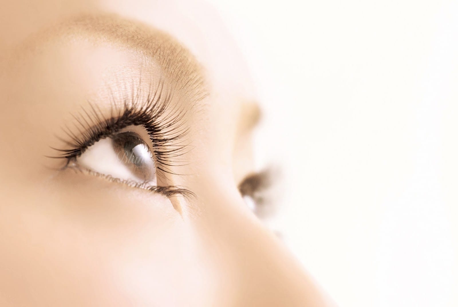 CHIC de Akita eyelash&nail（秋田）のメンズ眉毛サロン店内写真 1枚目