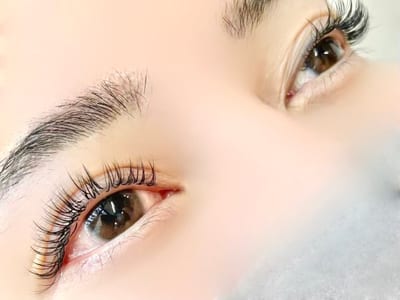eyebrow & lashlift Ravicils 恵比寿 店内写真 3枚目