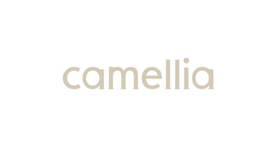 camellia 店内写真 4枚目