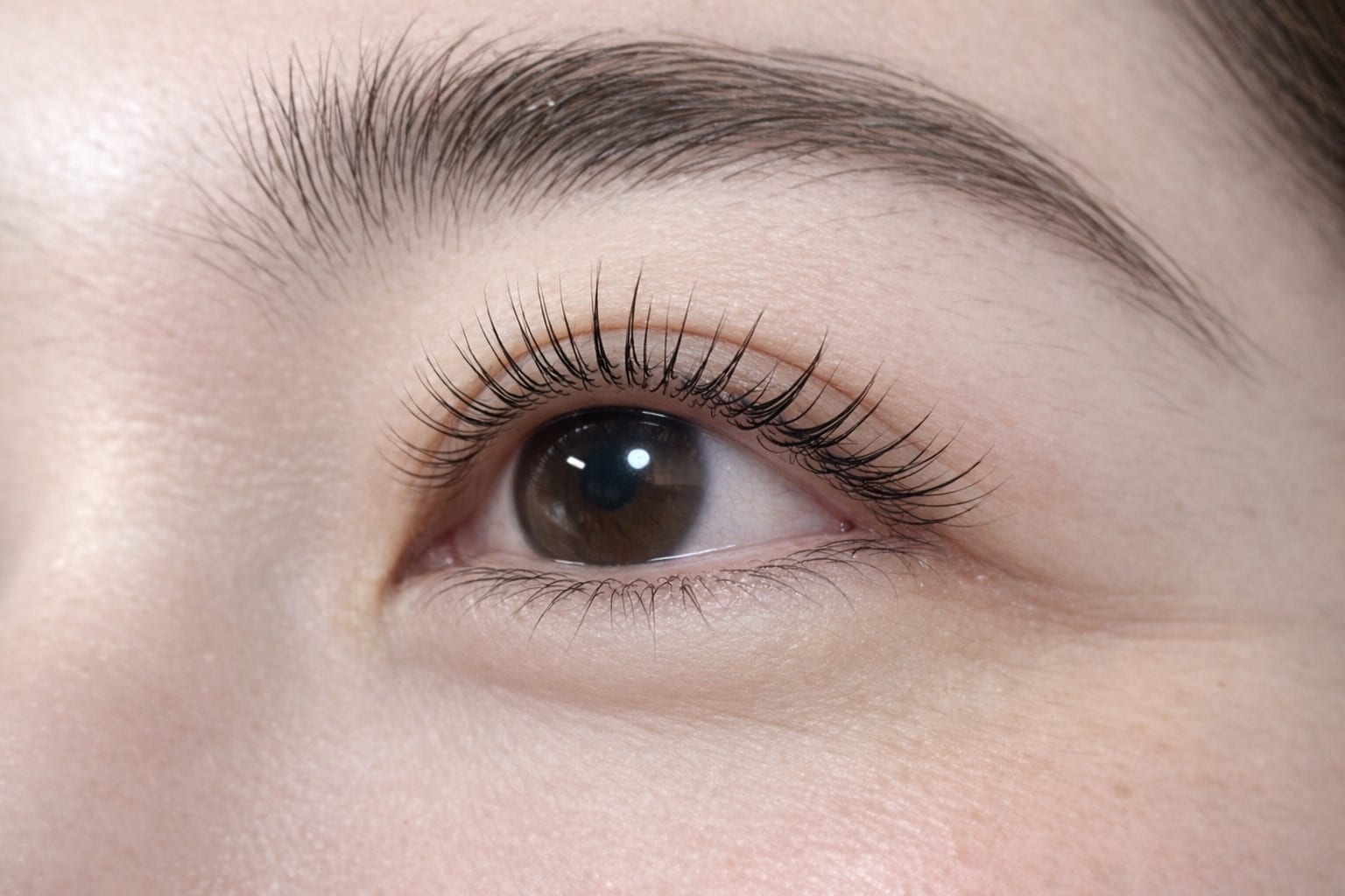 Bellis Lash（銀座）のメンズ眉毛サロン店内写真 1枚目