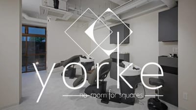 yorke tulpe 店内写真 1枚目
