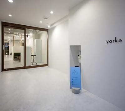 yorke tulpe 店内写真 4枚目