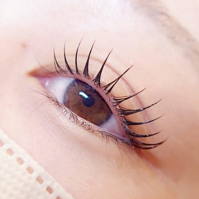 M.LASH 店内写真 2枚目