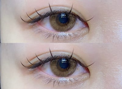 Eye Lash Malva 店内写真 4枚目