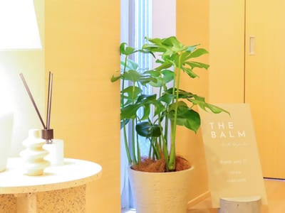 THE BALM 神楽坂店 店内写真 3枚目