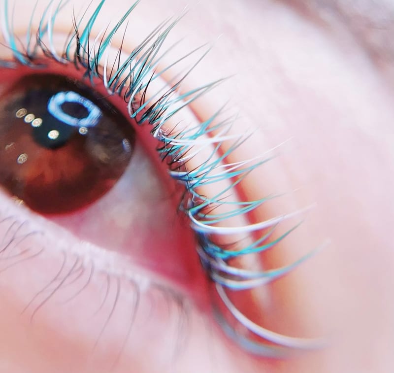 Maile leaf eyelash&eyebrow（坂戸市）