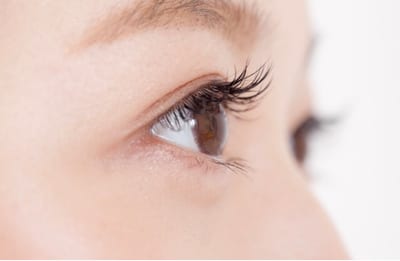 LAURA Eyelash/Eyebrow 店内写真 3枚目