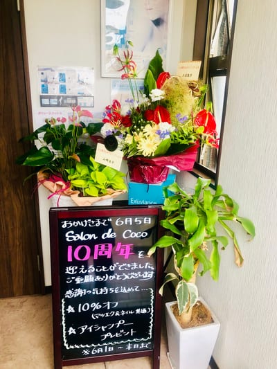 Salon de Coco 店内写真 2枚目