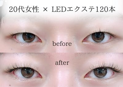 Sein 根津・千駄木 店内写真 1枚目