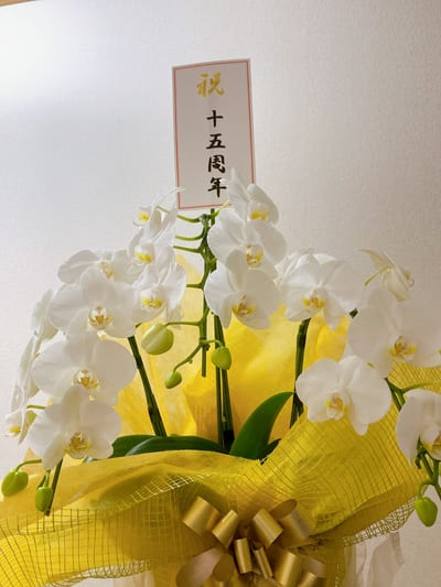 Salon&School Rosemary 店内写真 2枚目