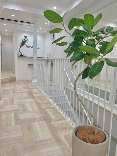 My sweet salon 岡山店 －マイスウィートサロン－ 店内写真 2枚目