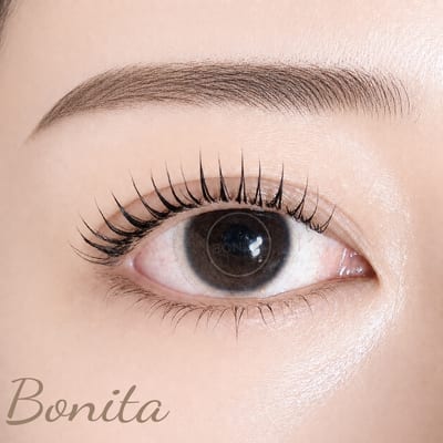 Bonita 店内写真 1枚目