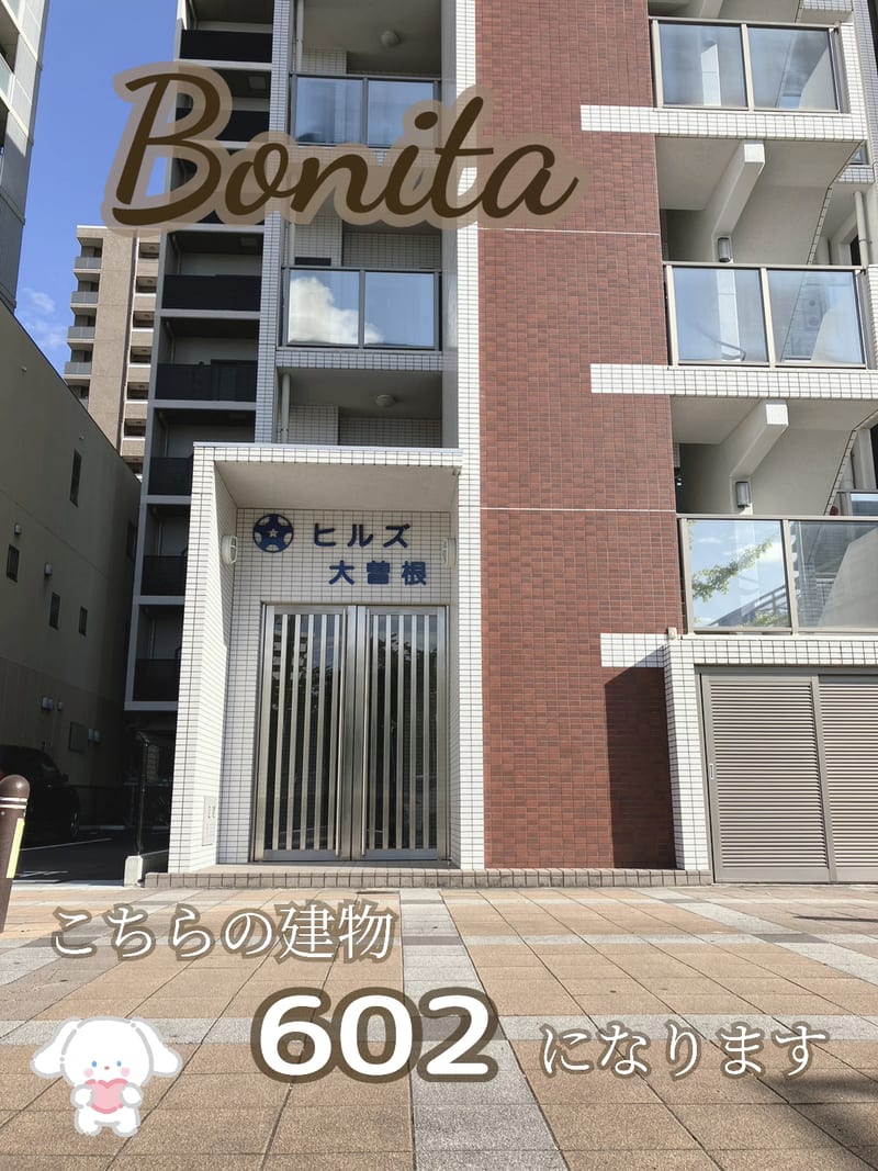 Bonitaの店内写真3
