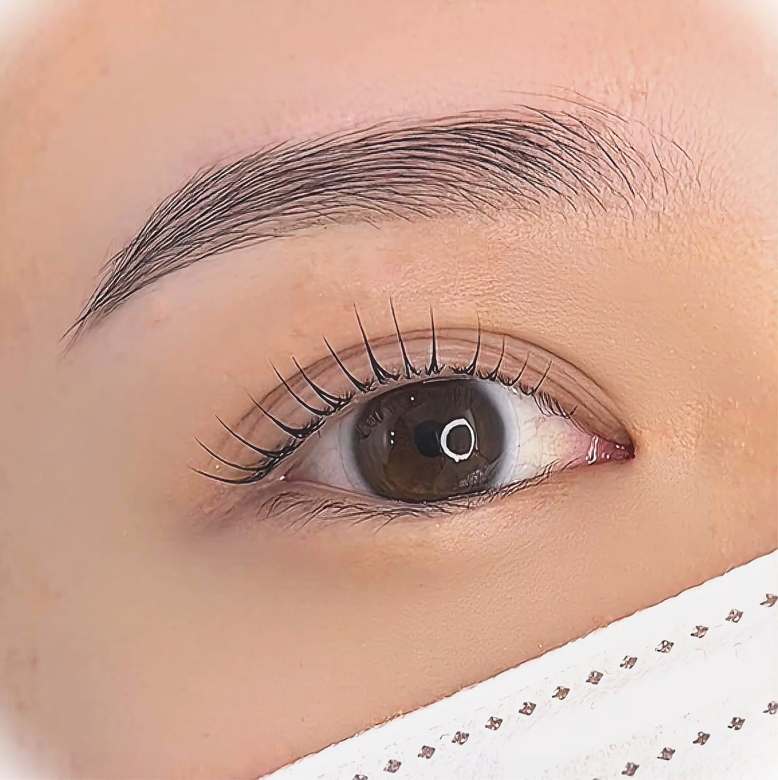 LASHISA eyelashes & brows（品川）のメンズ眉毛サロン店内写真 1枚目