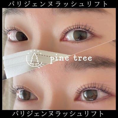 pine tree 店内写真 2枚目