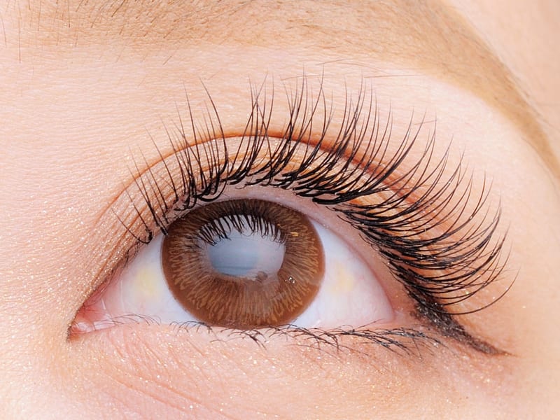 FOXY LASH -the beauty-梅田店(梅田)のメンズ眉毛サロン
