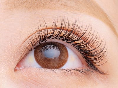 FOXY LASH -the beauty-梅田店 店内写真 1枚目